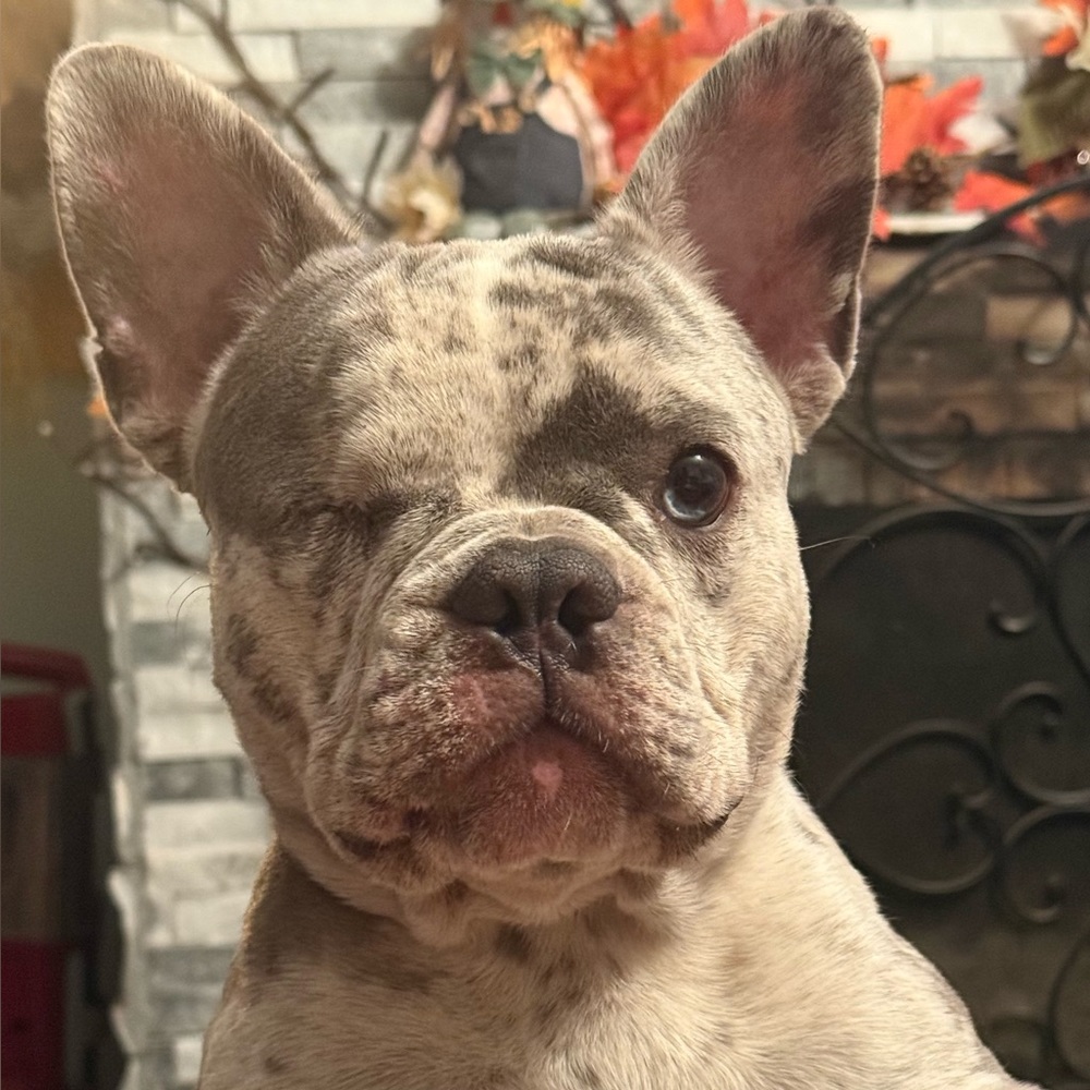 Meet your Posher, Mimi